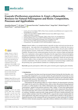 Guayule (Parthenium Argentatum A. Gray), a Renewable Resource for Natural Polyisoprene and Resin: Composition, Processes and Applications