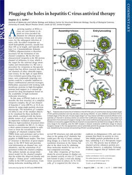 Plugging the Holes in Hepatitis C Virus Antiviral Therapy