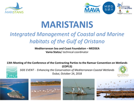 The PDF Presentation of MEDSEA Foundation About The