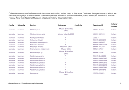 Collection Number and References of the Extant and Extinct Rodent Used in This Work