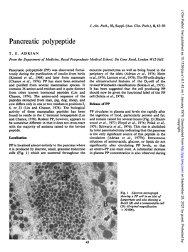 Pancreatic Polypeptide