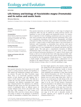 Life History and Biology of Fascioloides Magna (Trematoda)