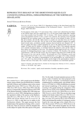 Reproductive Biology of the Short-Finned Squid Illex Coindetii (Cephalopoda, Ommastrephidae) of the Northeast- Ern Atlantic