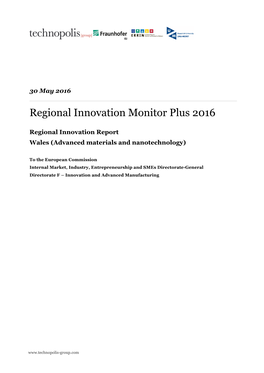 Regional Innovation Monitor Plus 2016