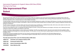 Site Improvement Plan Solent