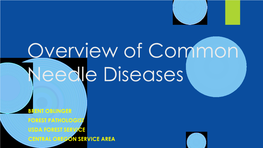 Overview of Needle Diseases