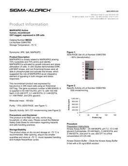 MAPKAPK3 Active Human, Recombinant GST-Tagged, Expressed in Sf9 Cells