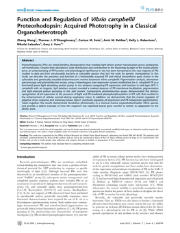 Function and Regulation of Vibrio Campbellii Proteorhodopsin: Acquired Phototrophy in a Classical Organoheterotroph