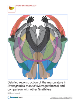 Micrognathozoa) and Comparison with Other Gnathifera Bekkouche Et Al