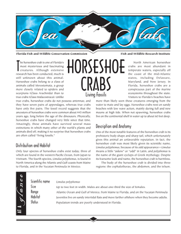 Horseshoe Crabs17.Indd