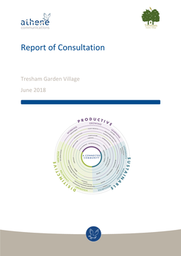 Report of Consultation