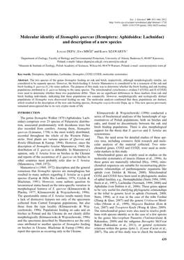 Molecular Identity of Stomaphis Quercus (Hemiptera: Aphidoidea: Lachnidae) and Description of a New Species