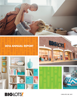 2016 Annual Report