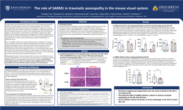 The Role of SARM1 in Traumatic Axonopathy in the Mouse Visual System