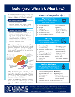 Brain Injury: What Is & What Now?