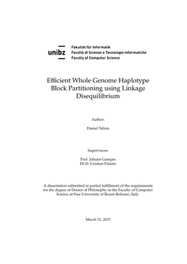 Efficient Whole Genome Haplotype Block Partitioning Using Linkage