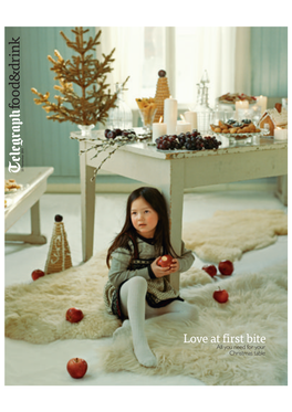 Telegraph23 November 2013 Love at First All You Need for Your Christmas Table Christmas Bite SHEEPSKINS: MØBELLOFTET (0047 240-6521)