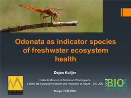 Odonata As Indicator Species of Freshwater Ecosystem Health