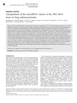 Upregulation of the Microrna Cluster at the Dlk1-Dio3 Locus in Lung Adenocarcinoma