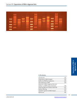 Section VIII: Separation of RNA in Agarose Gels