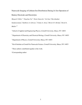 Nanoscale Imaging of Lithium Ion Distribution During in Situ Operation Of