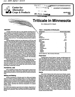 Triticale in Minnesota E.A