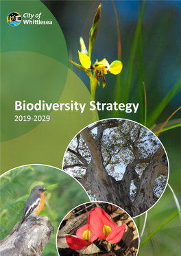 Biodiversity Strategy