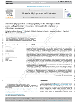 Molecular Phylogenetics and Biogeography of the Neotropical Skink