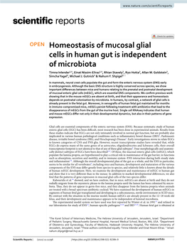 Homeostasis of Mucosal Glial Cells in Human Gut Is Independent of Microbiota Timna Inlender1,4, Einat Nissim‑Eliraz1,4, Rhian Stavely2, Ryo Hotta2, Allan M