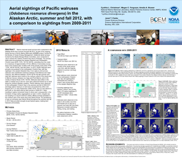 Aerial Sightings of Pacific Walruses