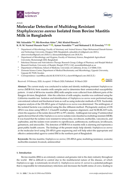 Molecular Detection of Multidrug Resistant Staphylococcus Aureus Isolated from Bovine Mastitis Milk in Bangladesh