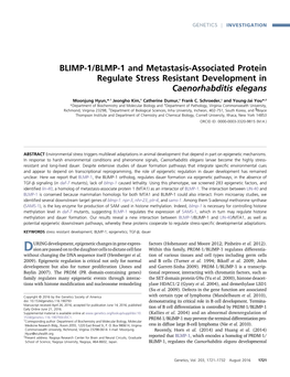 BLIMP-1/BLMP-1 and Metastasis-Associated Protein Regulate Stress Resistant Development in Caenorhabditis Elegans