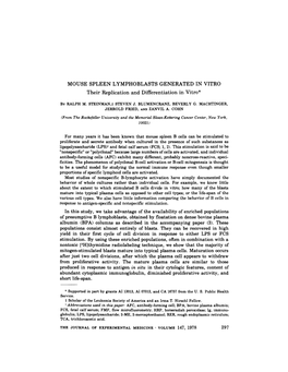 MOUSE SPLEEN LYMPHOBLASTS GENERATED in VITRO Their Replication and Differentiation in Vitro*