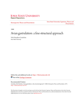 Avian Gastrulation: a Fine-Structural Approach Nels Hamilton Granholm Iowa State University