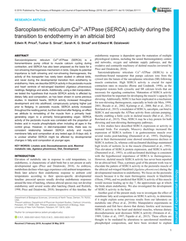 Sarcoplasmic Reticulum Ca2+-Atpase (SERCA) Activity During the Transition to Endothermy in an Altricial Bird Edwin R