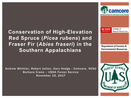 Picea Rubens) and Fraser Fir (Abies Fraseri) in the Southern Appalachians