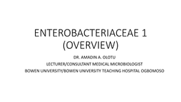 Enterobacteriaceae (Overview)