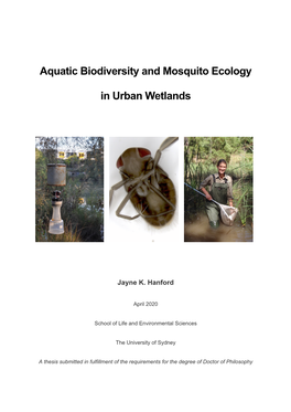 Aquatic Biodiversity and Mosquito Ecology in Urban Wetlands