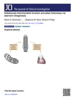 Imbalanced Mitochondrial Function Provokes Heterotaxy Via Aberrant Ciliogenesis