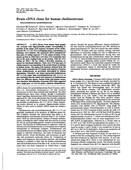 Brain Cdna Clone for Human Cholinesterase (Butyrylcholinesterase/Pseudocholinesterase) CHARLES MCTIERNAN*, STEVE Adkinst, ARNAUD Chatonnett, THERESA A