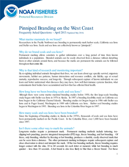 Pinniped Branding: Frequently Asked Questions