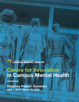 CICMH Progress Report Summary