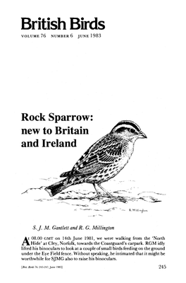 Rock Sparrow: New to Britain and Ireland