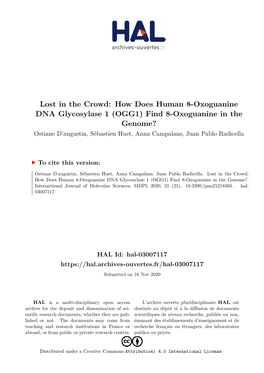 How Does Human 8-Oxoguanine DNA Glycosylase 1 (OGG1) Find 8-Oxoguanine in the Genome? Ostiane D’Augustin, Sébastien Huet, Anna Campalans, Juan Pablo Radicella