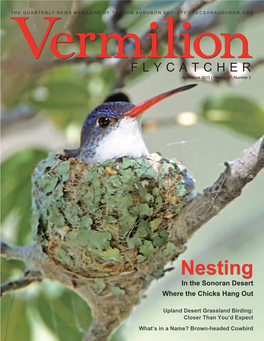 Nesting in the Sonoran Desert Where the Chicks Hang Out