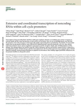 Extensive and Coordinated Transcription of Noncoding Rnas