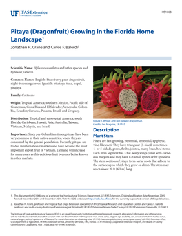 Pitaya (Dragonfruit) Growing in the Florida Home Landscape1 Jonathan H