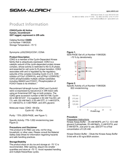 CDK2/Cyclin A2 Active Human, Recombinant GST Tagged, Expressed in Sf9 Cells