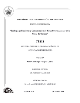 “Ecología Poblacional Y Conservación De Kinosternon Oaxacae En La Costa De Oaxaca”