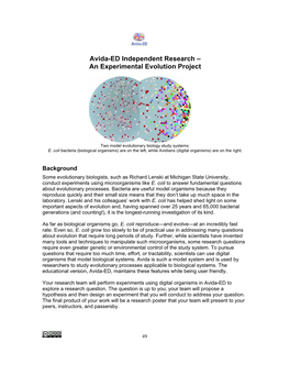 Avida-ED Independent Research – an Experimental Evolution Project